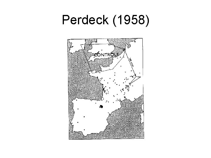 Perdeck (1958) 