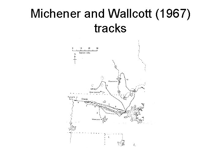 Michener and Wallcott (1967) tracks 