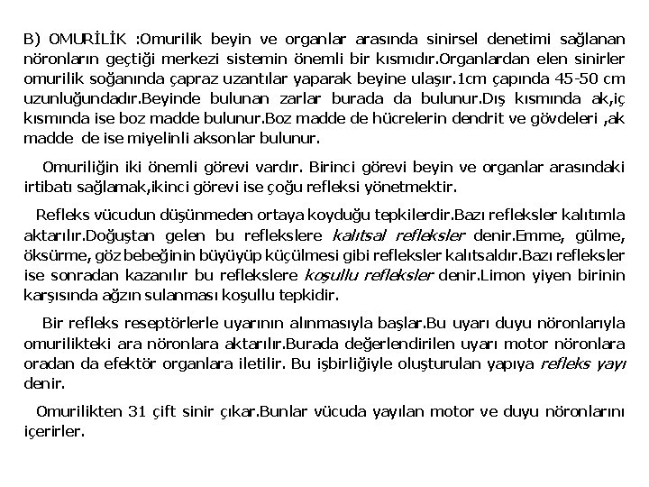 B) OMURİLİK : Omurilik beyin ve organlar arasında sinirsel denetimi sağlanan nöronların geçtiği merkezi