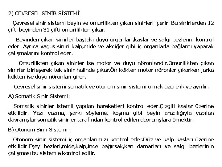 2) ÇEVRESEL SİNİR SİSTEMİ Çevresel sinir sistemi beyin ve omurilikten çıkan sinirleri içerir. Bu