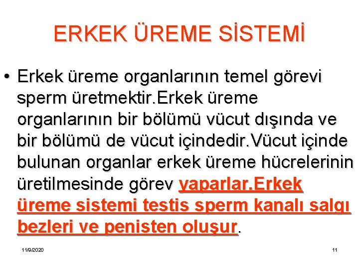 ERKEK ÜREME SİSTEMİ • Erkek üreme organlarının temel görevi sperm üretmektir. Erkek üreme organlarının