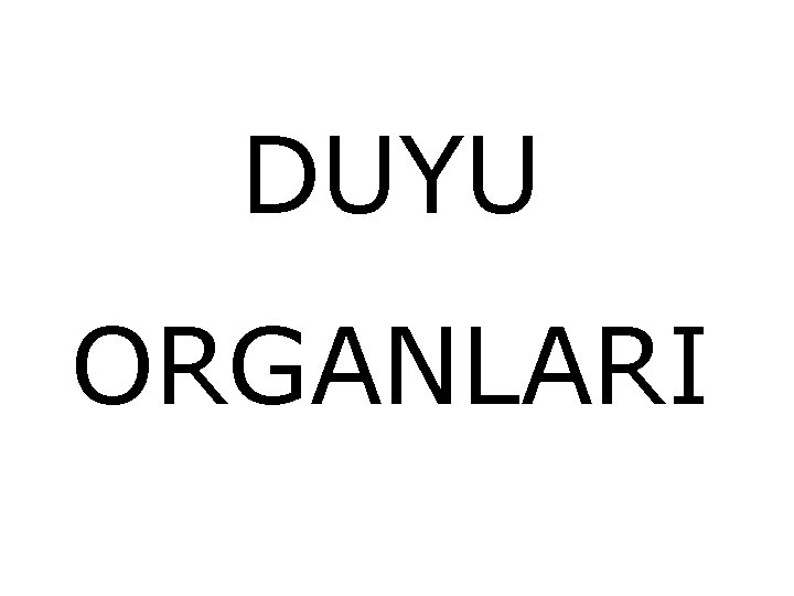 DUYU ORGANLARI 