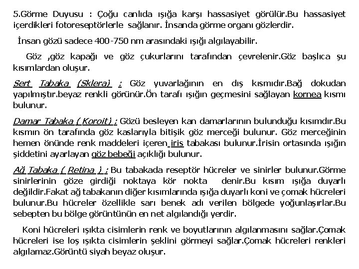 5. Görme Duyusu : Çoğu canlıda ışığa karşı hassasiyet görülür. Bu hassasiyet içerdikleri fotoreseptörlerle