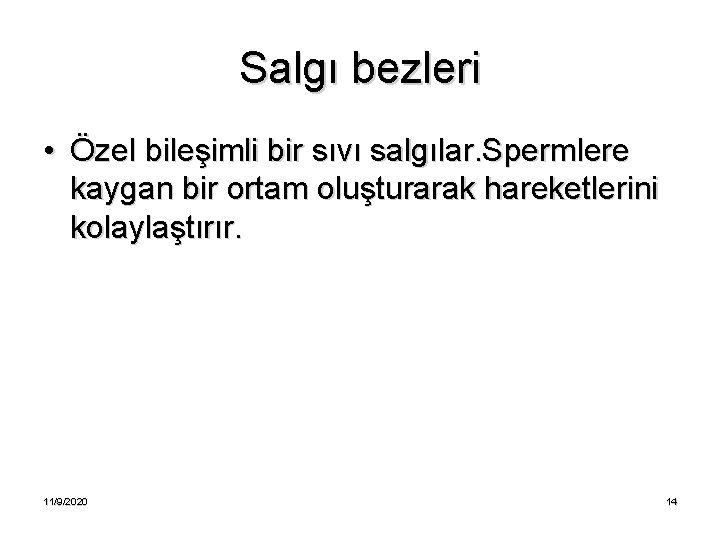 Salgı bezleri • Özel bileşimli bir sıvı salgılar. Spermlere kaygan bir ortam oluşturarak hareketlerini