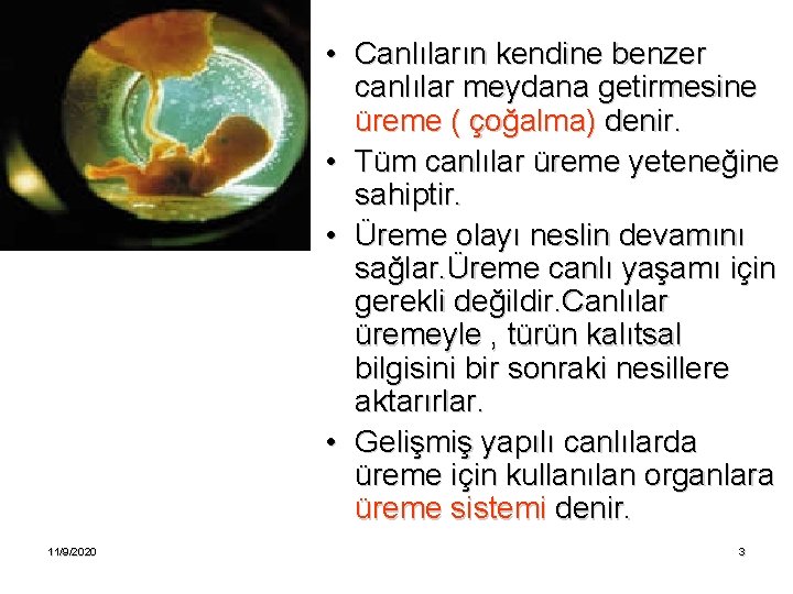  • Canlıların kendine benzer canlılar meydana getirmesine üreme ( çoğalma) denir. • Tüm