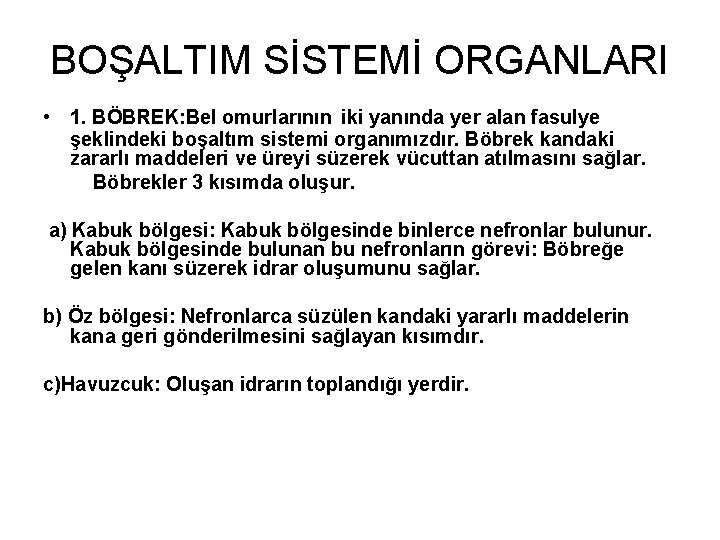 BOŞALTIM SİSTEMİ ORGANLARI • 1. BÖBREK: Bel omurlarının iki yanında yer alan fasulye şeklindeki