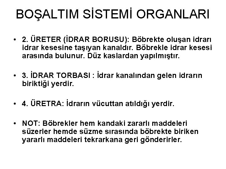 BOŞALTIM SİSTEMİ ORGANLARI • 2. ÜRETER (İDRAR BORUSU): Böbrekte oluşan idrarı idrar kesesine taşıyan