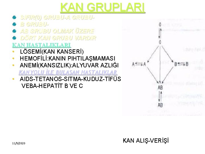 KAN GRUPLARI SIFIR(0) GRUBU-A GRUBUB GRUBUAB GRUBU OLMAK ÜZERE DÖRT KAN GRUBU VARDIR KAN