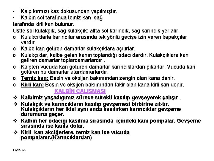  • Kalp kırmızı kas dokusundan yapılmıştır. • Kalbin sol tarafında temiz kan, sağ