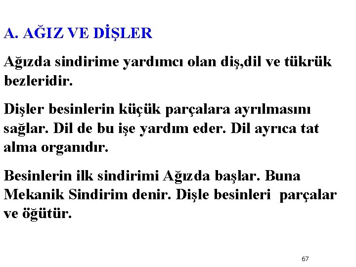 A. AĞIZ VE DİŞLER Ağızda sindirime yardımcı olan diş, dil ve tükrük bezleridir. Dişler