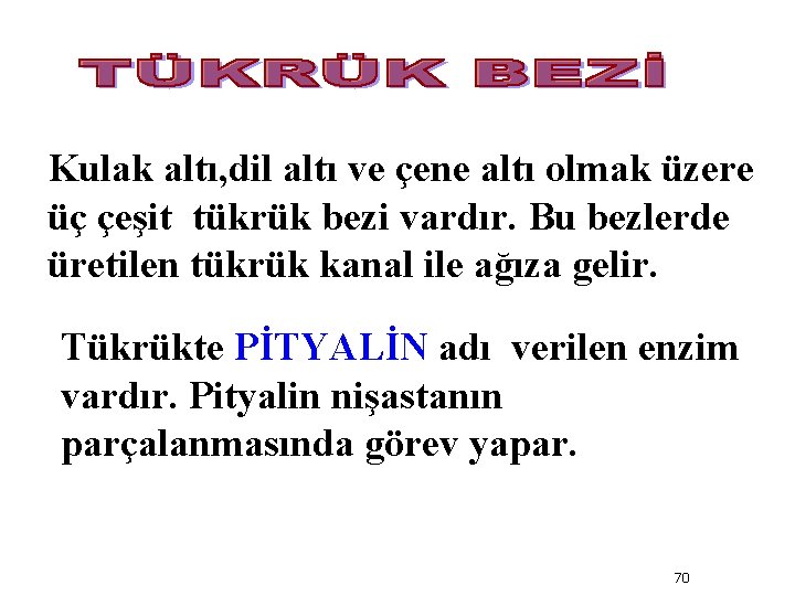 Kulak altı, dil altı ve çene altı olmak üzere üç çeşit tükrük bezi vardır.