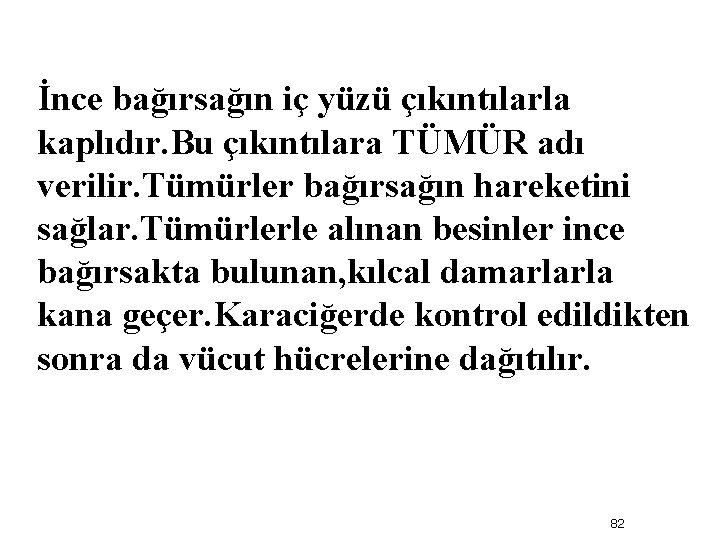 İnce bağırsağın iç yüzü çıkıntılarla kaplıdır. Bu çıkıntılara TÜMÜR adı verilir. Tümürler bağırsağın hareketini