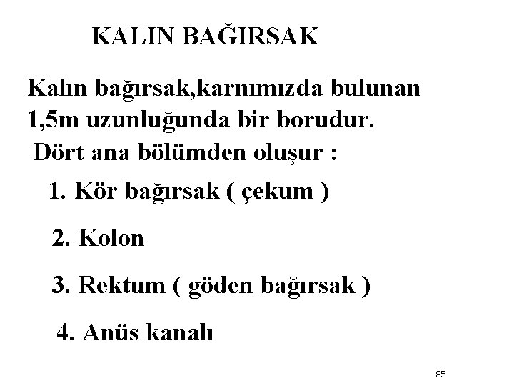 KALIN BAĞIRSAK Kalın bağırsak, karnımızda bulunan 1, 5 m uzunluğunda bir borudur. Dört ana