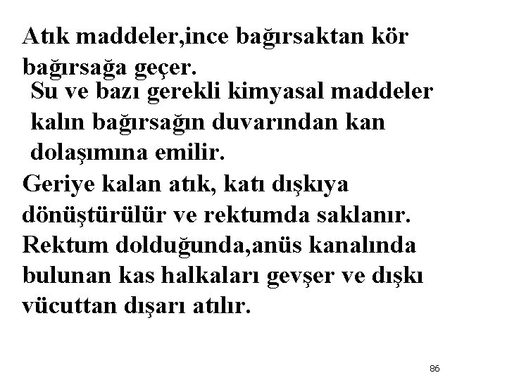 Atık maddeler, ince bağırsaktan kör bağırsağa geçer. Su ve bazı gerekli kimyasal maddeler kalın