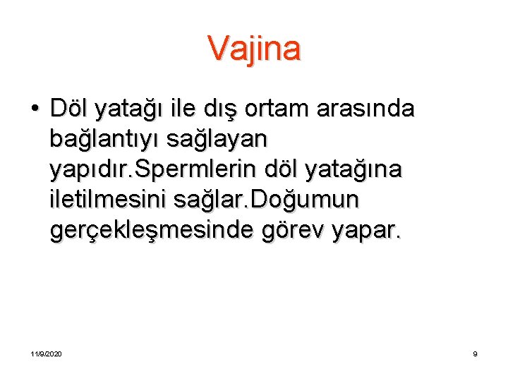Vajina • Döl yatağı ile dış ortam arasında bağlantıyı sağlayan yapıdır. Spermlerin döl yatağına