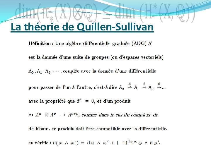 La théorie de Quillen-Sullivan 