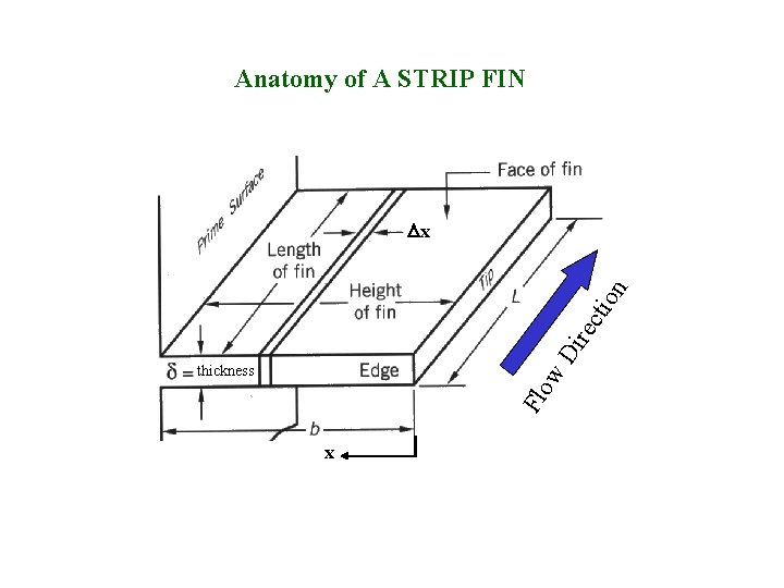 Anatomy of A STRIP FIN Di rec tio n Dx Flo w thickness x