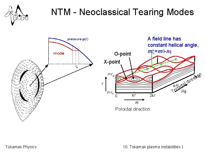 NTM - Neoclassical Tearing Modes A field line has constant helical angle, mx=mq-nf Courtesy