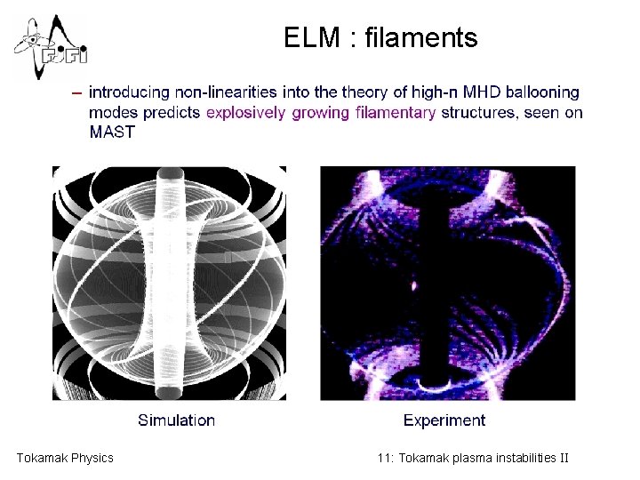 ELM : filaments Tokamak Physics 11: Tokamak plasma instabilities II 