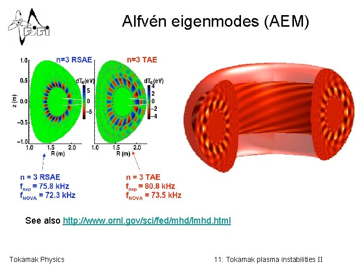 Alfvén eigenmodes (AEM) See also http: //www. ornl. gov/sci/fed/mhd/lmhd. html Tokamak Physics 11: Tokamak