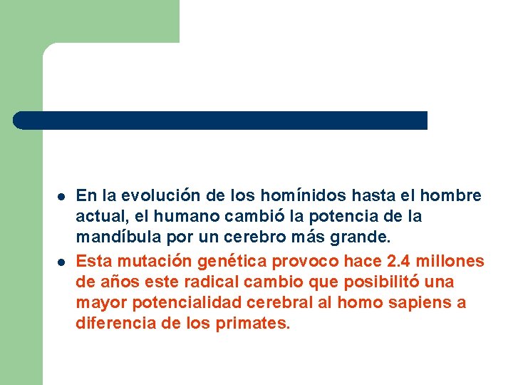 l l En la evolución de los homínidos hasta el hombre actual, el humano