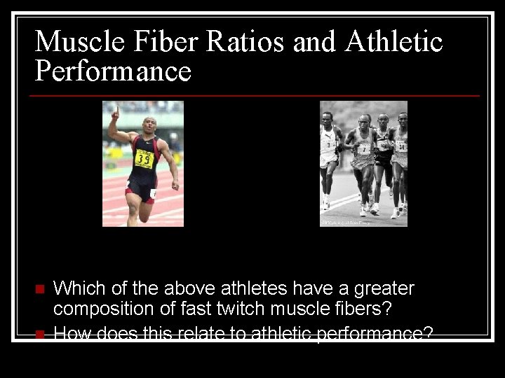 Muscle Fiber Ratios and Athletic Performance n n Which of the above athletes have
