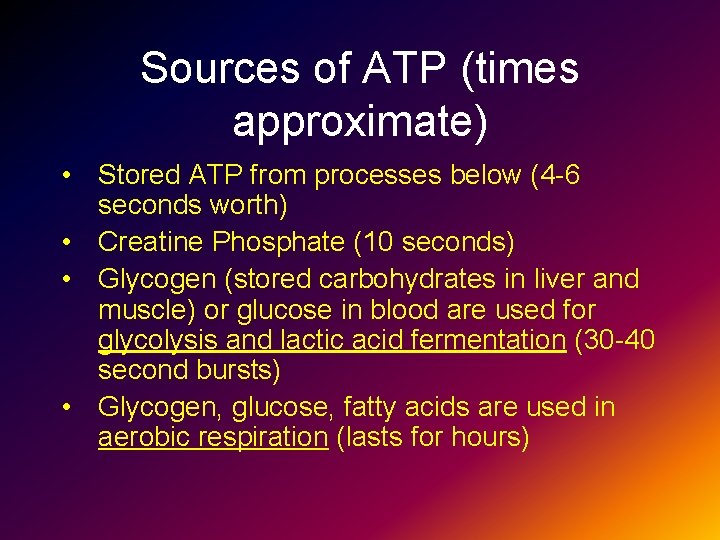 Sources of ATP (times approximate) • Stored ATP from processes below (4 -6 seconds