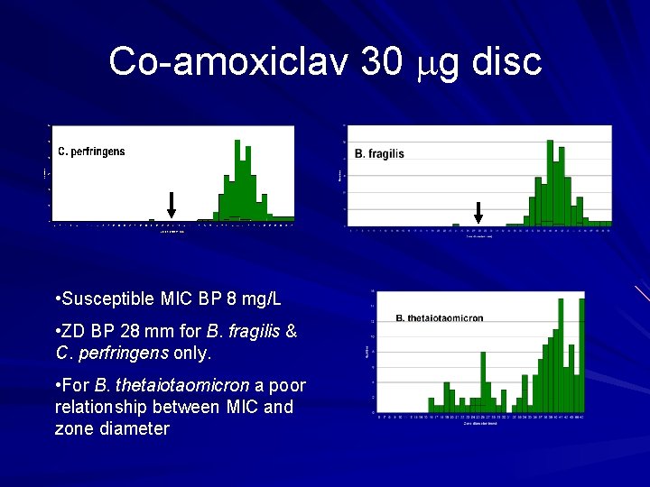 Co-amoxiclav 30 g disc • Susceptible MIC BP 8 mg/L • ZD BP 28