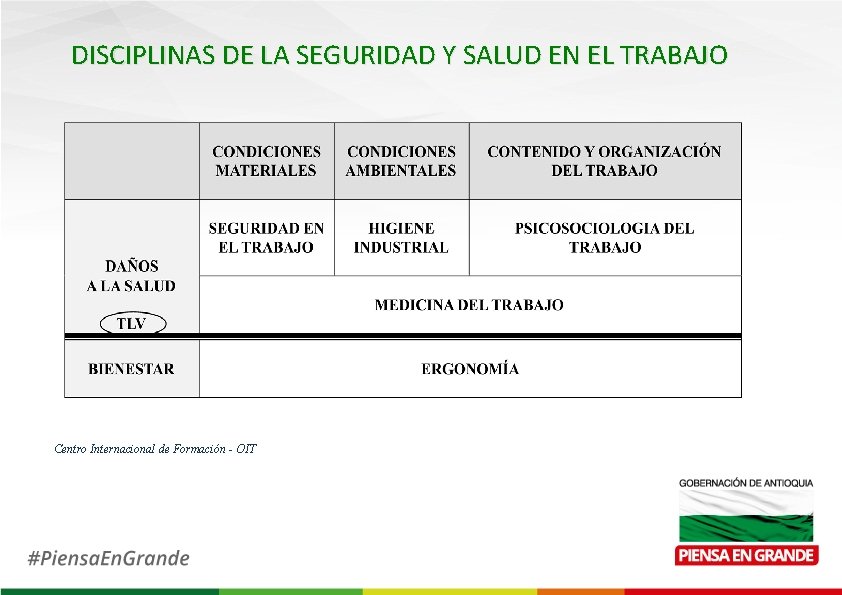 DISCIPLINAS DE LA SEGURIDAD Y SALUD EN EL TRABAJO Centro Internacional de Formación -