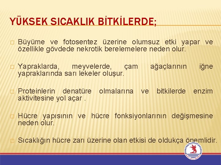 YÜKSEK SICAKLIK BİTKİLERDE; � Büyüme ve fotosentez üzerine olumsuz etki yapar ve özellikle gövdede