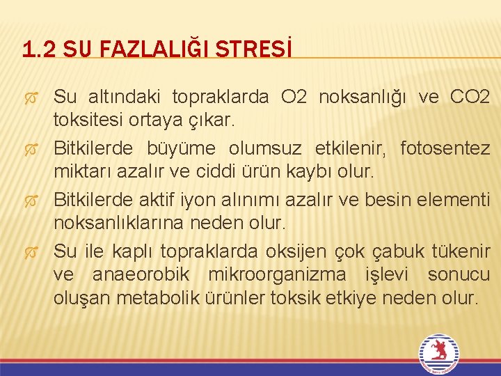 1. 2 SU FAZLALIĞI STRESİ Ó Ó Su altındaki topraklarda O 2 noksanlığı ve