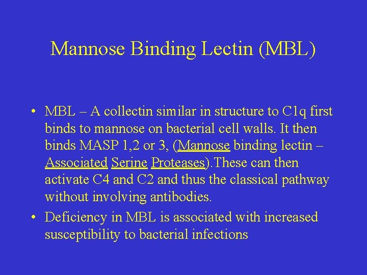 Mannose Binding Lectin (MBL) • MBL – A collectin similar in structure to C