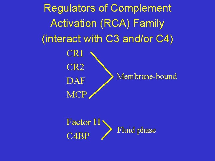Regulators of Complement Activation (RCA) Family (interact with C 3 and/or C 4) CR