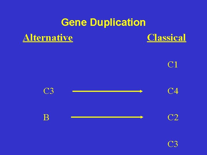 Gene Duplication Alternative Classical C 1 C 3 C 4 B C 2 C