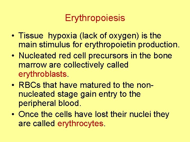 Erythropoiesis • Tissue hypoxia (lack of oxygen) is the main stimulus for erythropoietin production.