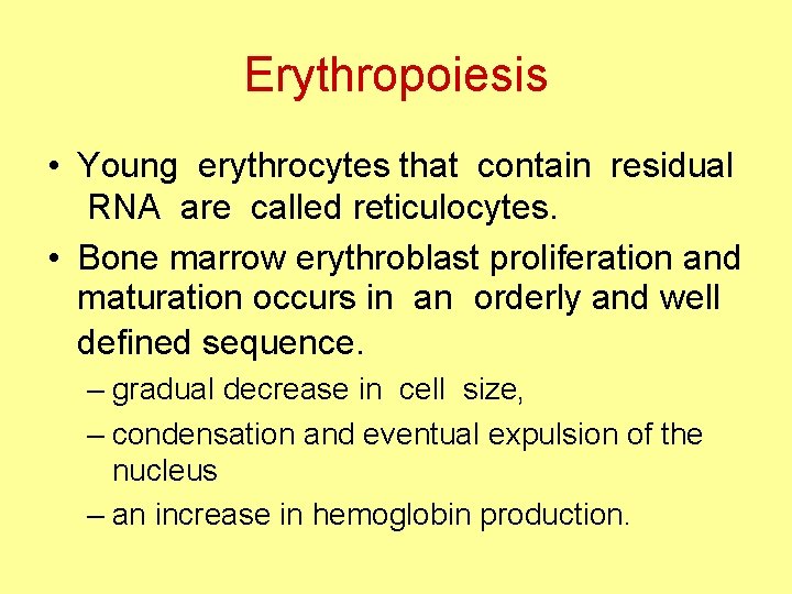 Erythropoiesis • Young erythrocytes that contain residual RNA are called reticulocytes. • Bone marrow