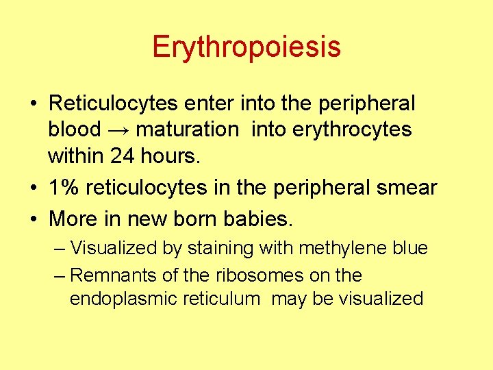 Erythropoiesis • Reticulocytes enter into the peripheral blood → maturation into erythrocytes within 24