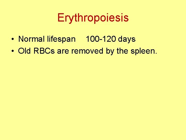 Erythropoiesis • Normal lifespan 100 -120 days • Old RBCs are removed by the