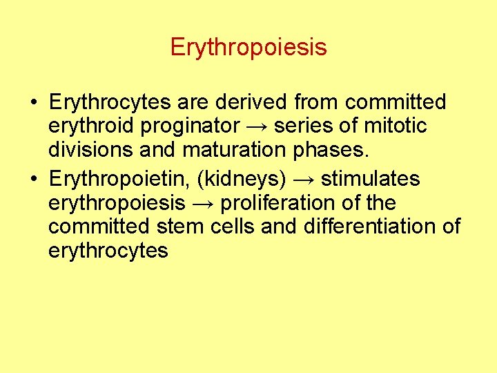 Erythropoiesis • Erythrocytes are derived from committed erythroid proginator → series of mitotic divisions