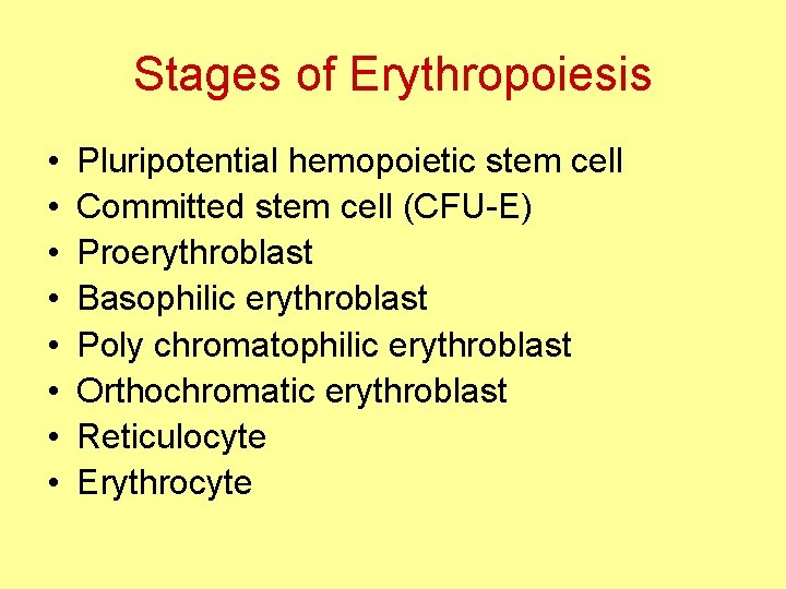 Stages of Erythropoiesis • • Pluripotential hemopoietic stem cell Committed stem cell (CFU-E) Proerythroblast
