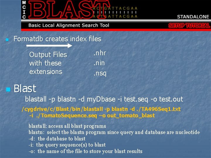 n Formatdb creates index files Output Files with these extensions n . nhr. nin.
