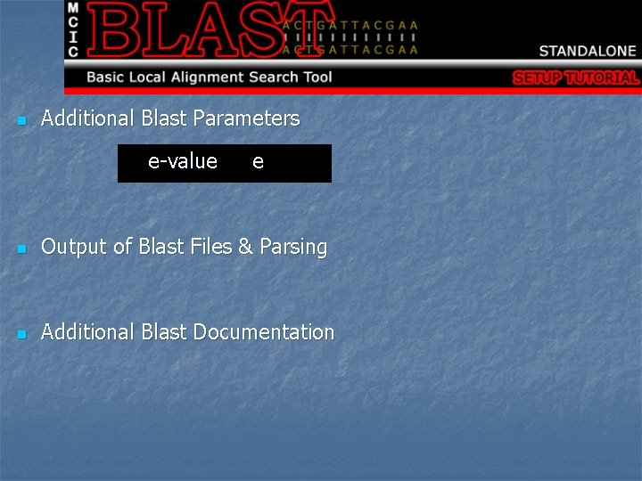 n Additional Blast Parameters e-value e n Output of Blast Files & Parsing n