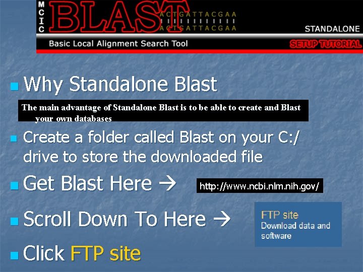 n Why Standalone Blast The main advantage of Standalone Blast is to be able