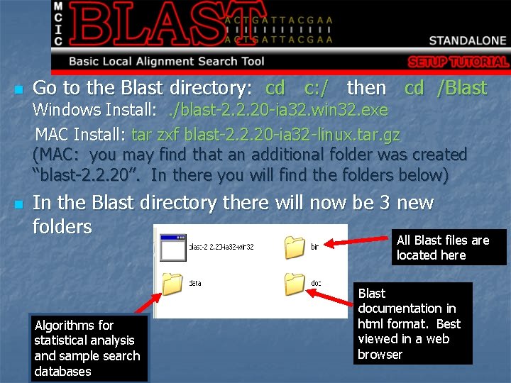 n Go to the Blast directory: cd c: / then cd /Blast Windows Install: