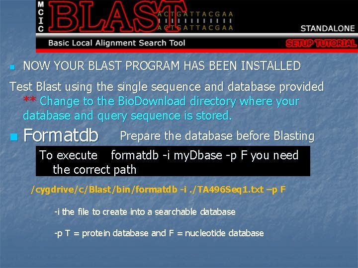 n NOW YOUR BLAST PROGRAM HAS BEEN INSTALLED Test Blast using the single sequence