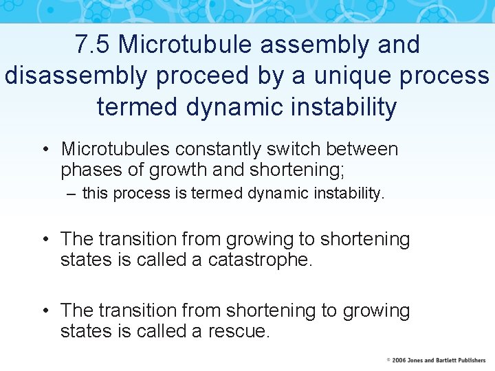 7. 5 Microtubule assembly and disassembly proceed by a unique process termed dynamic instability