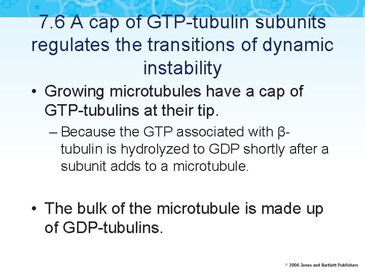 7. 6 A cap of GTP-tubulin subunits regulates the transitions of dynamic instability •