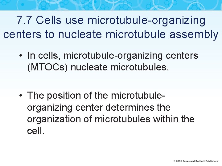 7. 7 Cells use microtubule-organizing centers to nucleate microtubule assembly • In cells, microtubule-organizing