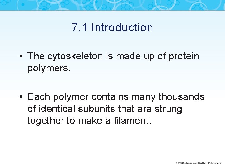 7. 1 Introduction • The cytoskeleton is made up of protein polymers. • Each