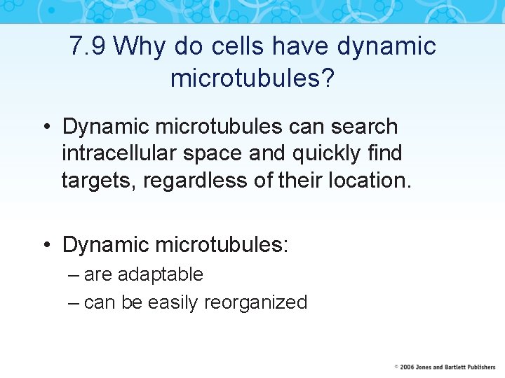 7. 9 Why do cells have dynamic microtubules? • Dynamic microtubules can search intracellular